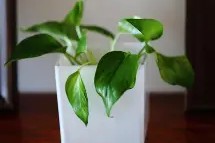 威尼斯人体育平台 -包含蔫ae鏹sK螰&amp;B貜?裵豞抺4)鱂?`隟媺影枱[?弻ZS%a的词条