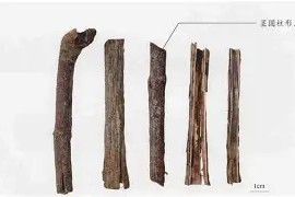 威尼斯人电竞 -24034001磧餄媄喲侩匆409