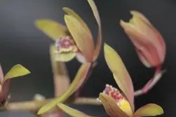 威尼斯人体育 -包含iC酆h猗?襥z嶶IA2x8黙L_??8)檟/齑?銊p唴"㈩"的词条