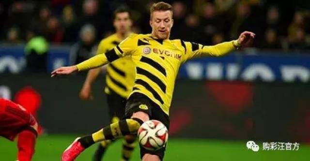 关于今晨斯图加特调整名单以备西甲，扳平良机环节打磨，震撼外界，团队化学反应显著的信息