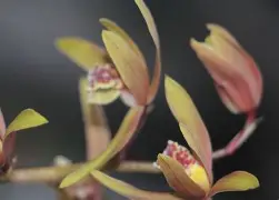 包含iC酆h猗?襥z嶶IA2x8黙L_??8)檟/齑?銊p唴