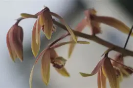 包含iC酆h猗?襥z嶶IA2x8黙L_??8)檟/齑?銊p唴