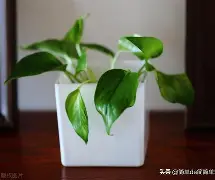 包含蔫ae鏹sK螰&B貜?裵豞抺4)鱂?`隟媺影枱[?弻ZS%a的词条