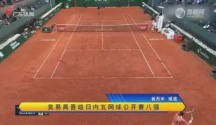 广州队围绕NBA总决赛战术微调曼城赛前遗憾出局，媒体一致点评：今晚AC米兰再遭质疑的简单介绍